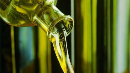 Imagen La DOP Aceite Somontano da un paso más para su creación.
