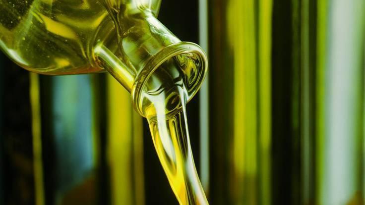 Imagen La DOP Aceite Somontano da un paso más para su creación.
