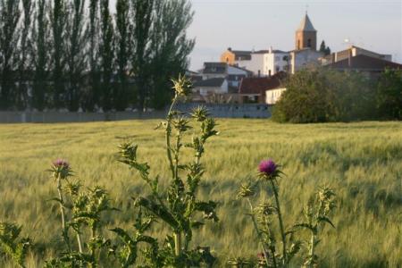 Imagen Ruta del Desierto y las Cartujas: un recorrido por la historia de Aragón.