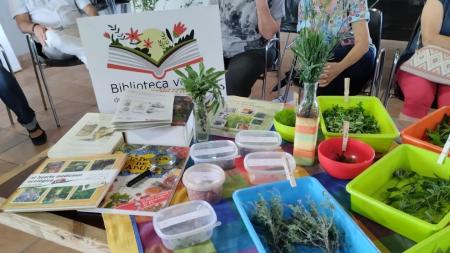 Imagen Las bibliotecas verdes del Somontano siembran en la huerta ‘bolitas de...