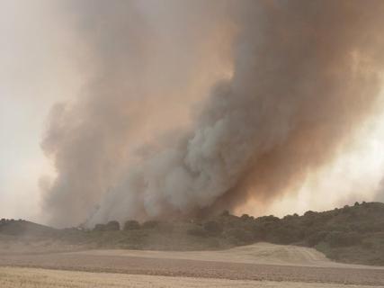 Imagen Riesgo extremo de incendios.