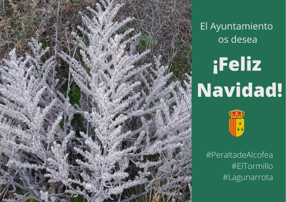 Imagen Felicitación Navideña