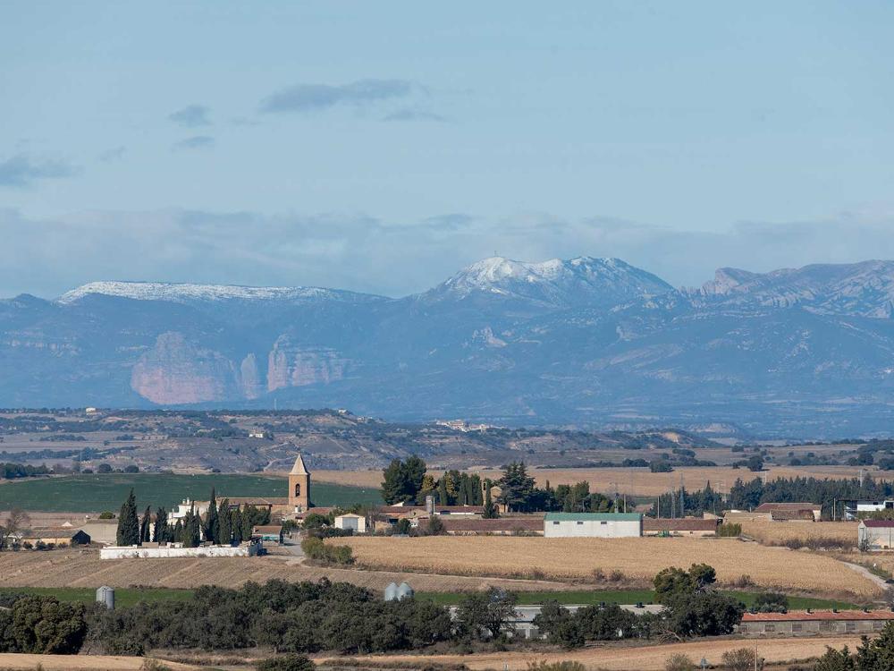 Imagen El municipio de Peralta de Alcofea aumenta en 20 su número de habitantes en 2022.